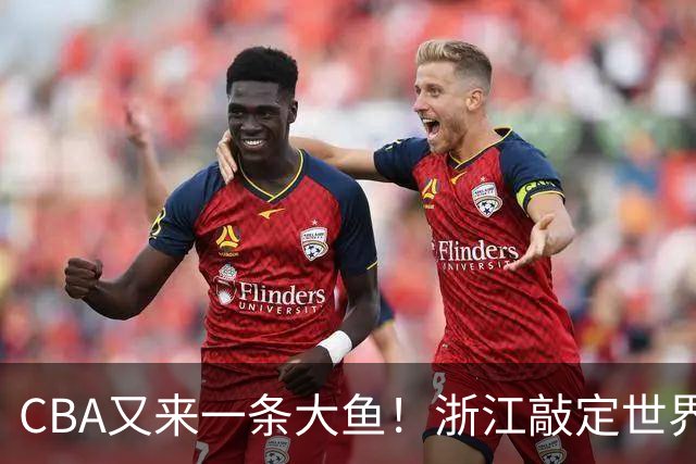 CBA又来一条大鱼！浙江敲定世界杯助攻王，新赛季或掀翻争冠格局
